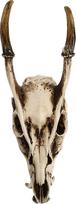 Healifty Dirbtinis Taxidermy Avinas avies kaukolė 3D dervos gyvūnų kaukolė skeletas Vikingas galvos skulptūra Sienų kabantys meno kolekcionuojamų dekoro Helovinas ornamentas