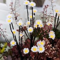 Lights4fun 5 LED saulės žibintų rinkinys Daisies Daisies Bouquet Solar Warm White