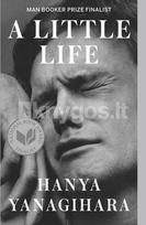 A Little Life - Hanya Yanagihara