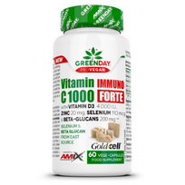 GreenDay® ProVEGAN Vitamin C 1000 mg Immuno Forte 60 tablečių