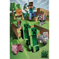 Vaikiškas pledas Minecraft, 100x150 cm