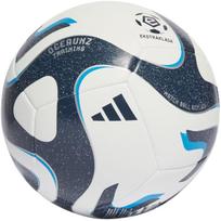 Adidas Futbolo Kamuolys Training White Grey IQ4932