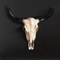 Gyvūno sienos skulptūra Helovino karvės galvos dekoras, kolekcionuojama dervos Longhorn biurui