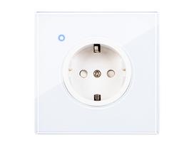 Išmanusis WiFi įleidžiamas lizdas, valdomas TUYA