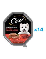 CESAR 14x150 g drėgnas visavertis ėdalas suaugusiems šunims su sultinga jautiena ir kepenimis