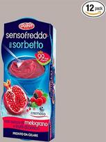 LUCGEL Srl Granatų uogų sorbetas "Cold Sense Dolphin" su vaisių sultimis, 12 vnt.