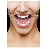Burnos kaištis Hook