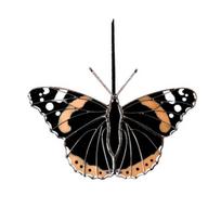 Butterfly Suncatcher Hanging Pendant with Lanyard Easy to Hang Indoor Outdoor