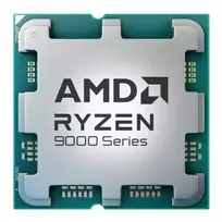 "AMD Ryzen 9 9900X" procesoriaus dėklas