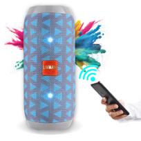 LIVMAN TG-117 belaidžiam naudojimui su FM radijo funkcija, keliomis atkūrimo parinktimis ir laisvų rankų skambučių priėmimu, 5W*2, 1200mAh