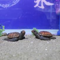 Mini jūros vėžlys modelio dervos akvariumas žuvų bakas namų kraštovaizdžio papuošalai Dekoravimo priedai Puikiai atliktas išdėstymas United States