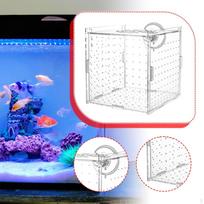 Akvariumo veisykla akrilinė aklimatizacija perykla veisėja mailius beta krevetės Single Room