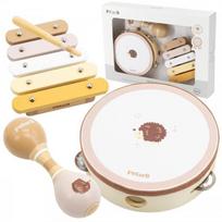 Vaikiškas muzikinis rinkinys Viga PolarB