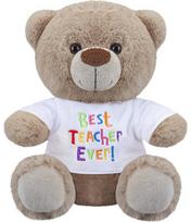 Pliušinis žaislas meškutis BEST TEACHER EVER!, 20 cm