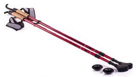 Vaikščiojimo lazdos Nordic Walking NW607