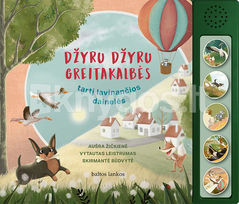 Džyru džyru greitakalbės. Tartį lavinančios dainelės - Aušra Žičkienė, Vytautas Leistrumas, Skirmantė Būdvytė