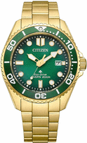 Vyriškas Laikrodis CITIZEN PROMASTER BN0262-59W