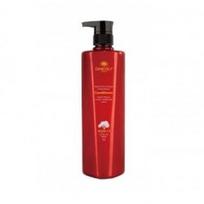 Pažeistų plaukų kondicionierius su argano aliejumi Argan Active Oxygen Instant Repair Conditioner 800ml
