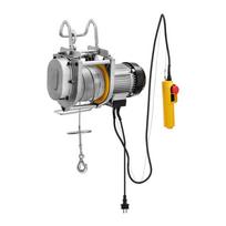 Elektrinė kėlimo gervė - 1300 W - 250 kg - 60 m