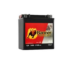 Banner 14Ah Bike Bull AGM 12V 210A akumuliatorius 150x87x161mm