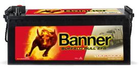 Banner 150Ah 850A 12V EFB Buffalo Bull 513x189x195/220mm
