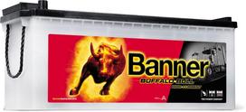 Banner 150Ah 1150A Buffalo Bull HIGH CURRENT akumuliatorius 514x189x195/220mm