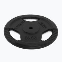 Ketaus apkrova XTREXO TRX-ICP025 25 kg chrom