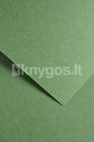 Dekoratyvinis popierius EARTH A4 žalias 220g 20lap