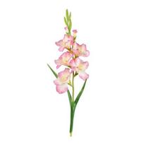 Dirbtinė gladiolų gėlė Realistiška netikra šilkinė gėlė Namų biuro vestuvių vakarėlio vidaus lauko dirbtinės gėlės žydėjimo dekoracija