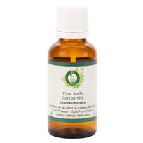 R V Būtinas grynas amlos aliejus 50ml - Emblica Officinalis (100% Grynas ir Natūralus Retų Žolelių Serija)