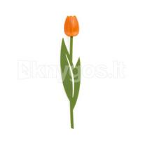 Knygos skirtukas „Tulpė“, oranžinis