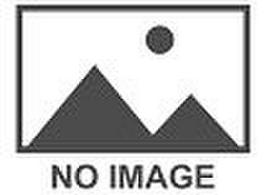 Mazzini Snowleopard 2 185/55 R15 82 T