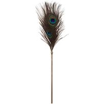 Taboom Peacock Tickler Dona plunksnos botagėlis Gold 1 vnt.