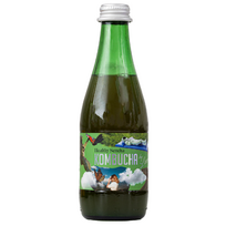 Ekologiška Kombucha Healthy Sencha, 330 ml – Kombucha by Laurent