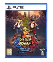 Double Dragon Gaiden: Rise of the Dragons