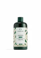 The Body Shop - Kondicionierius nuo pleiskanų Ginger (Conditioner) - 400 ml