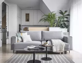 Sofa - lova Dalia su patalynės dėže pilka, Velvetmat 4