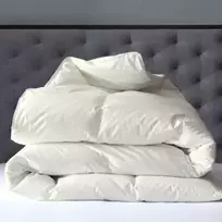 Žąsų pūkų (70%-pūkų, 30%-plunksnų) antklodė su tiku EXCLUSIVE PLUS , 200x200 cm