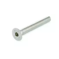 Varžtai Suki, DIN7991, M6 x 30 mm, A2, 4 vnt.