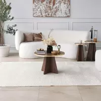 Kavos staliukas, Hanah Home, auksas Riešutas, 60 x 40 x 60, cm