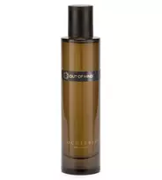 Locherber purškiamas kvapas namams Out of mind 100 ml