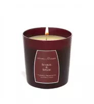 OFFICINA DELLE ESSENZE aromatinė žvakė „Žievelės ir prieskoniai“ 250 g