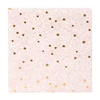 Albumas GOLDBUCH 08034 Finamente rose 30x31 60psl | kampučiai/lipdukai | knyginio rišimo
