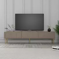 TV skyrius, Lionas, atlasas Auksinis, 180 x 43 x 35 cm