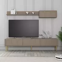 TV skyrius, Lionas, atlasas Auksinis, 180 x 43 x 35 cm