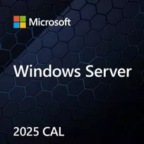 Microsoft Windows Svr CAL 2025 PL Clt User CAL OEM