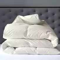 Žąsų pūkinė antklodė (70%-pūkų, 30%-plunksnų) su tiku EXCLUSIVE PLUS , 180x200 cm
