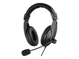 Ausinės Sandberg Saver MiniJack Headset Large Black
