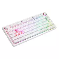 Mechanical Keyboard Phen SAVIO