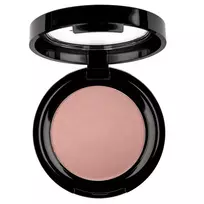 PIERRE RENE_Professional Rouge Powder Blush 09 6g